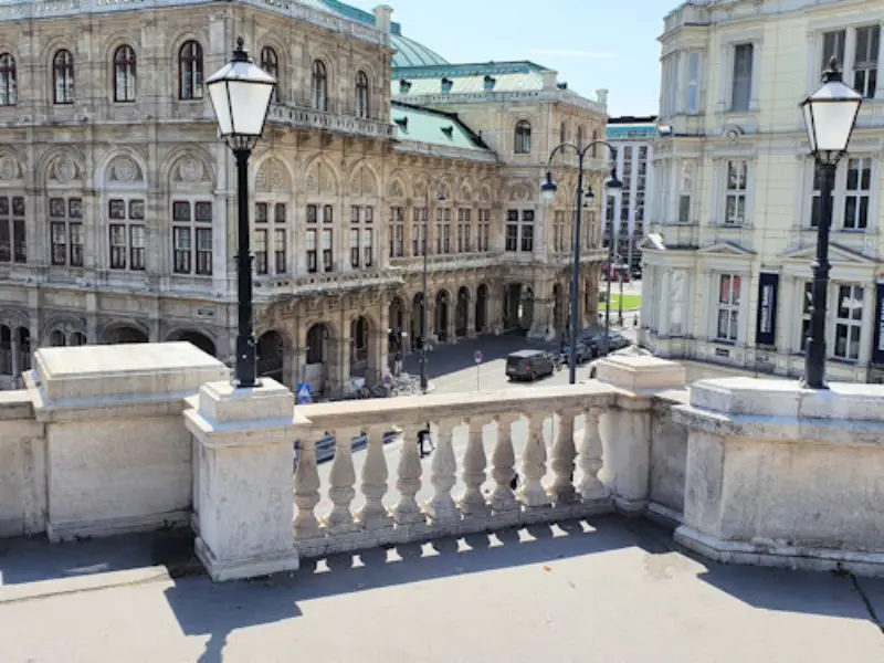 爱在黎明破晓前维也纳漫步 - 今日吃瓜